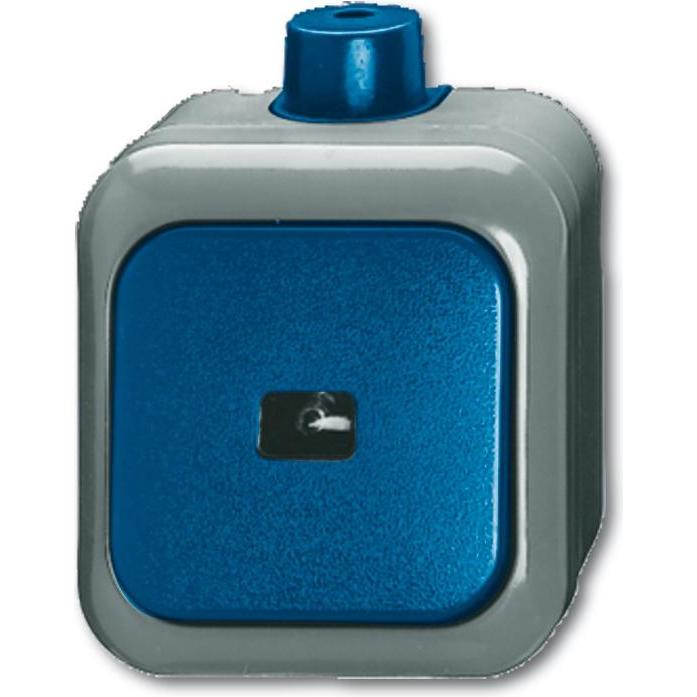 Busch-Jaeger Wipptaster, Taster + Schalter, Blau