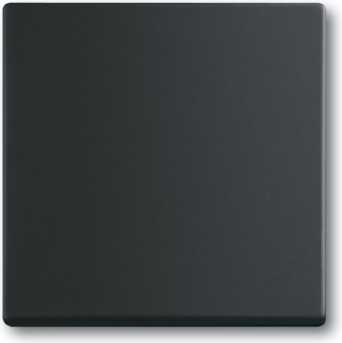 Black matt (RAL 9005)