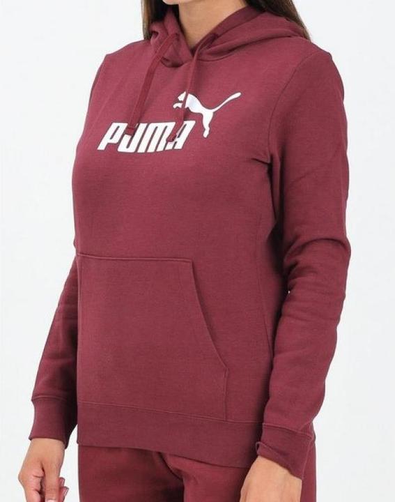 Actual product image Puma ESS No. 1 Logo Hoodie FL (s) (M)