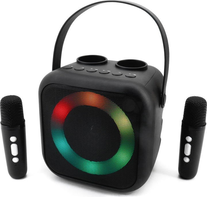 Soundmaster BT2024SW Karaoke system Incl. microphone, rechargeable Black (Electrical connection)