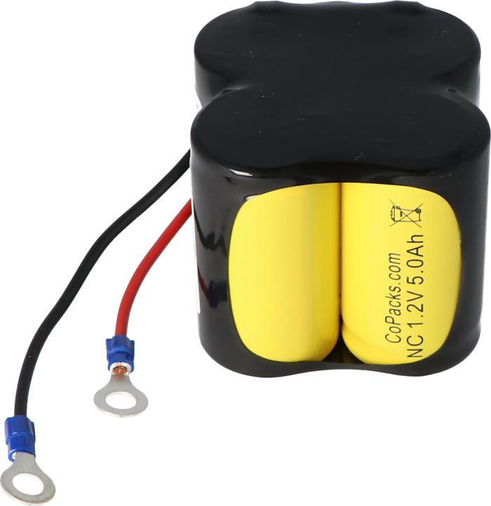 Produktbild AccuCell Akku Ceag CW270