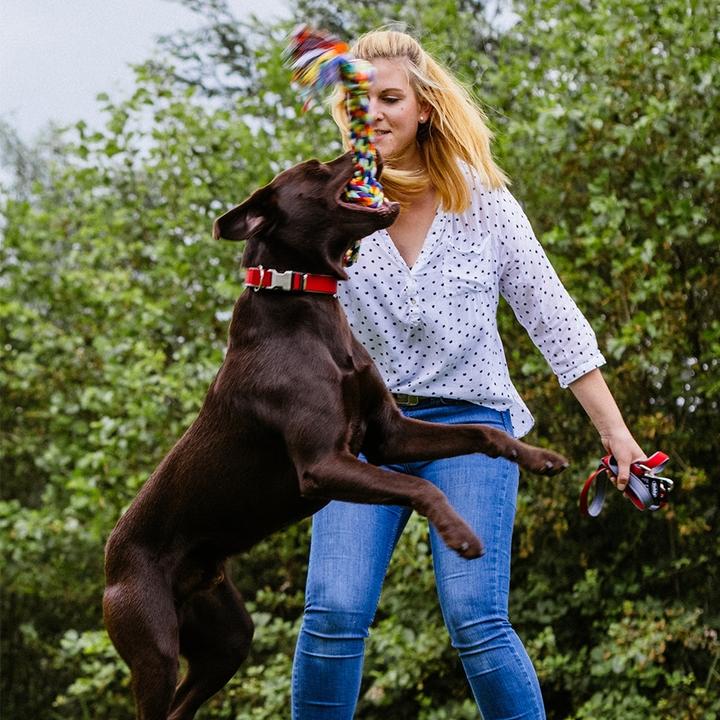 Immagine prodotto Nobby Corda annodata giocattolo per cani, doppia, multicolore (Gioco da masticare per cani)