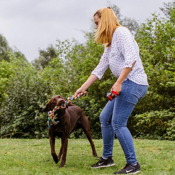 Immagine prodotto Nobby Corda annodata giocattolo per cani, doppia, multicolore (Gioco da masticare per cani)