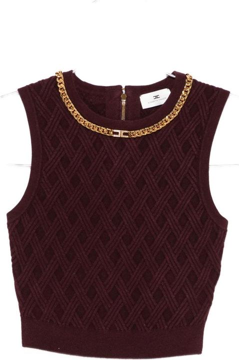 Immagine prodotto Elisabetta Franchi Top Bordeaux (40)