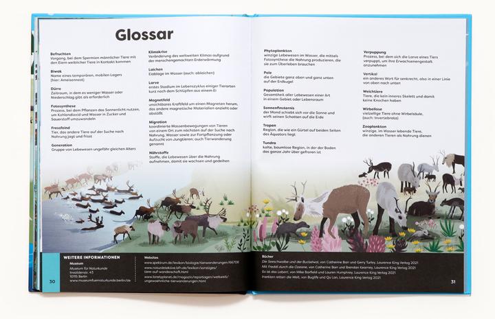 Actual product image Animals around you (German, 2 Players)