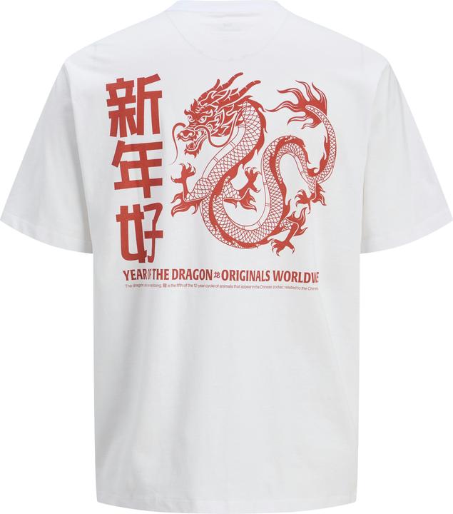 Produktbild Jack & Jones Jorsnake Tee Ss Crew Neck Tg Ln (XXL)