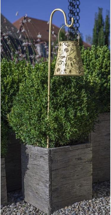 Produktbild STT Solar Antic