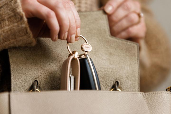 Actual product image Orbitkey Accessories rose gold