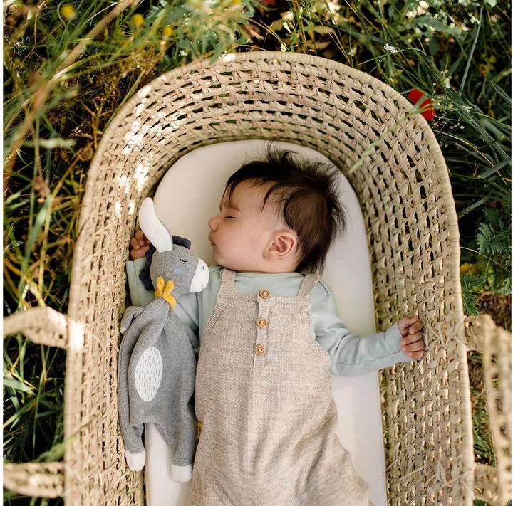 Actual product image Fehn Cuddle cloth donkey NATURE