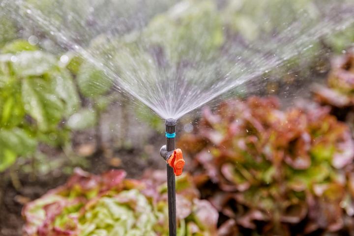 Produktbild Gardena Micro-Drip-System Sprühdüse (Tropfbewässerung Tropfer)