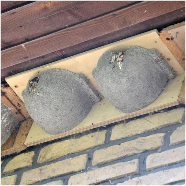 Actual product image Siena Garden House Martins Double nest