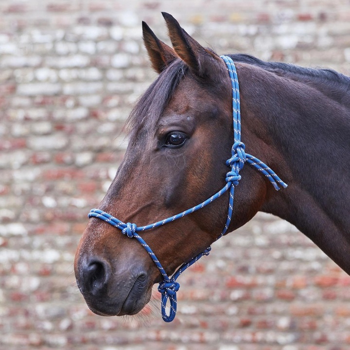 Actual product image Waldhausen Knot halter
