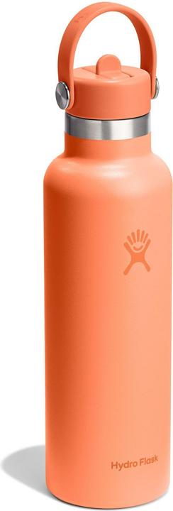 Actual product image Hydro Flask 21 oz Standard Flex Straw Cap (0.62 l)