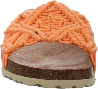 Image du produit Verbenas Raga (41)