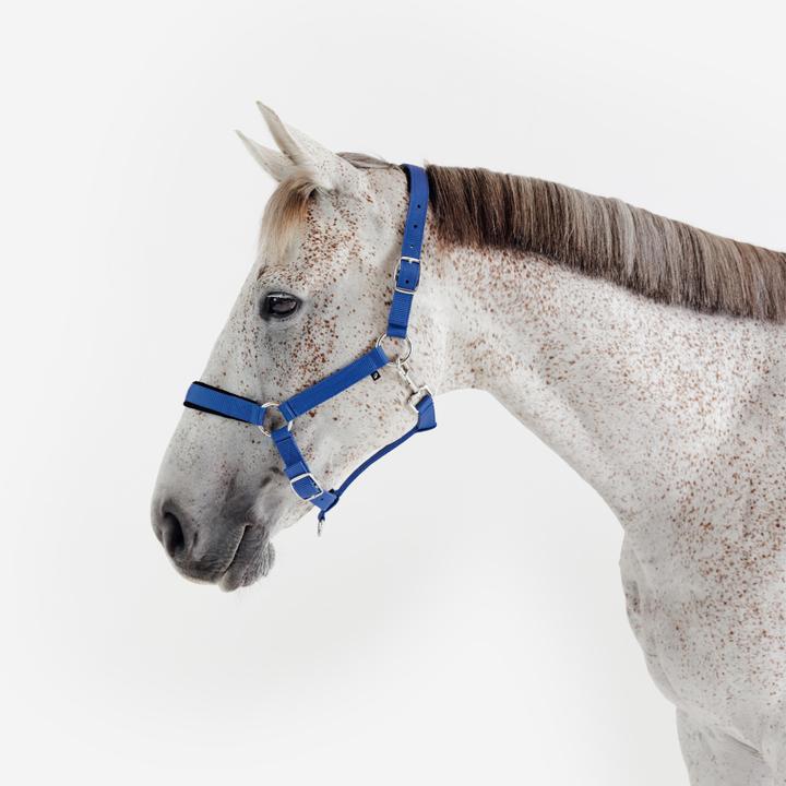 Produktbild Fouganza Halfter Reitpferd Polypropylen Kunstleder