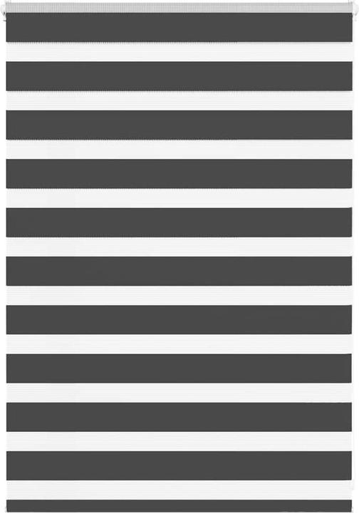 Produktbild vidaXL Zebra-Jalousie (100 x 100 cm)