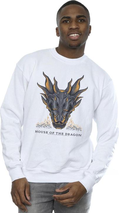 Image du produit Game of Thrones - Sweat DRAGON FLAMES - Homme (S)