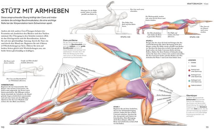 Produktbild Schwimmen - Die Anatomie verstehen (Deutsch, Anke Wellner-Kempf, Brett Hawke, 2025)