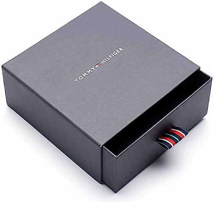 Produktbild Tommy Hilfiger Explore the Braid Armband (19 cm, Edelstahl, Leder)