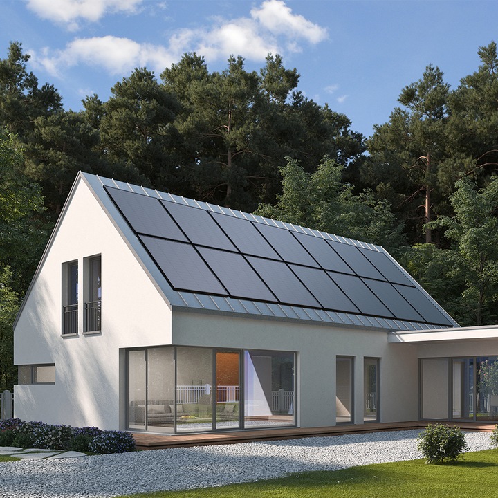 Actual product image EcoFlow Solarpanel (175 W, 9.30 kg)