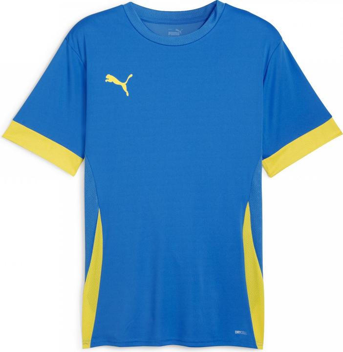 Image du produit Puma teamGOAL Matchday Jersey (M)