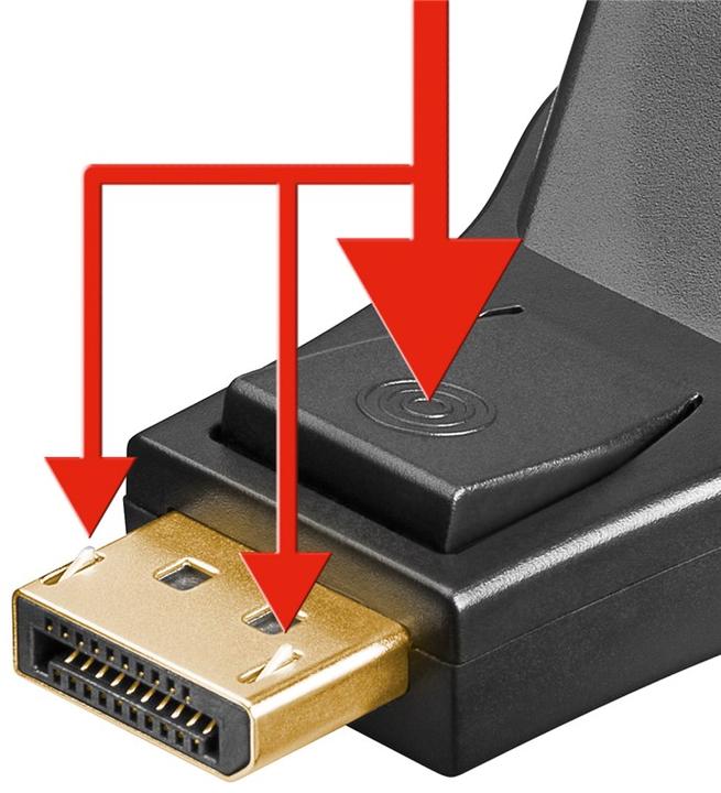 Actual product image Goobay DisplayPort/DVI-D Adapter 1.1, gold plated (DVI)