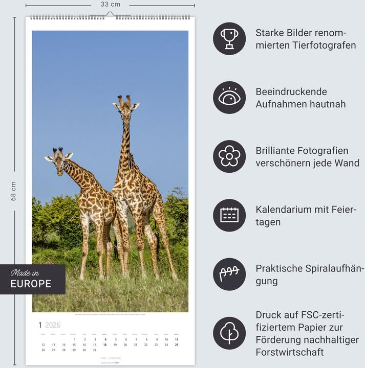 Produktbild Giraffen Kalender 2026 (33 x 68 cm)