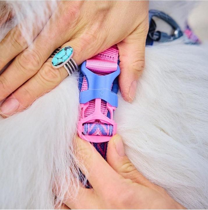 Produktbild Non-Stop Dogwear Non-Stop - Line Harness 5.0 - RP Purple/Pink - 5 (5, Hund, Allgemein, Spazieren)