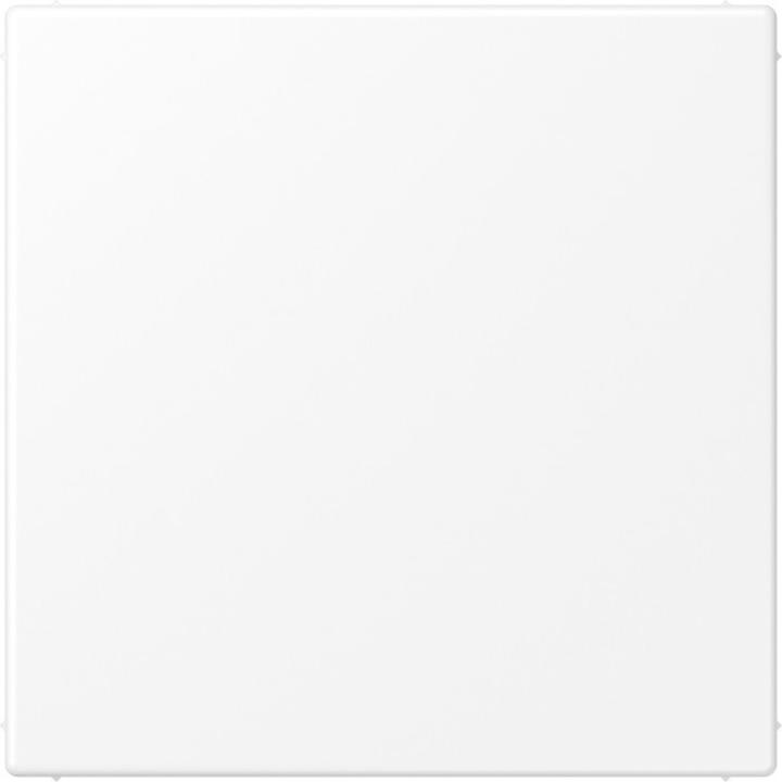 Actual product image JUNG Blanking plate LS ws mt LS994BWWM