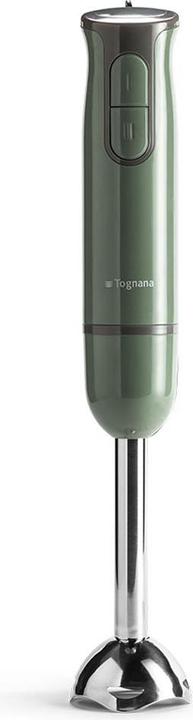 Produktbild Tognana Iridea Stabmixer mit Schneebesen