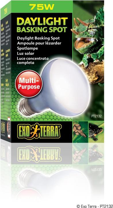 Image du produit Exo Terra un point d'orgue à la lumière du jour (UVB)