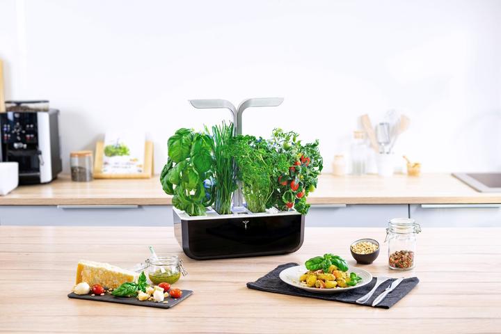 Productafbeelding Véritable VERITABLE SMART Indoor Garten schwarz inkl 4 Packs (35 x 18.50 x 45 cm)