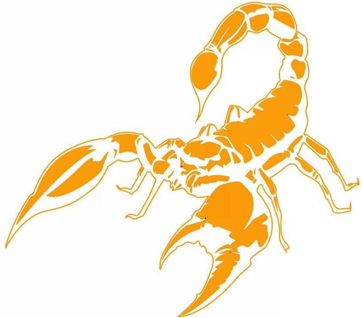 Actual product image CBionic Scorpion building block set