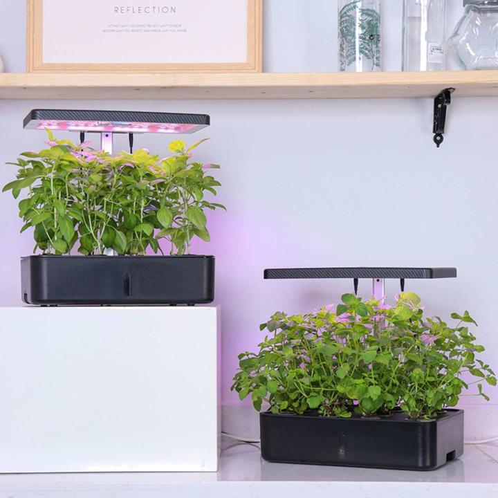 Actual product image Litrax ROBIN Smart Garden 12 (35 x 26 x 30 cm)