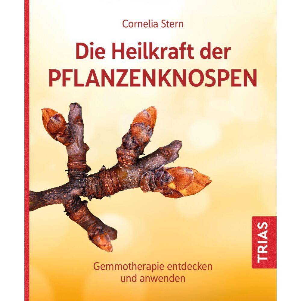 Die Heilkraft der Pflanzenknospen, Ratgeber von Cornelia Stern