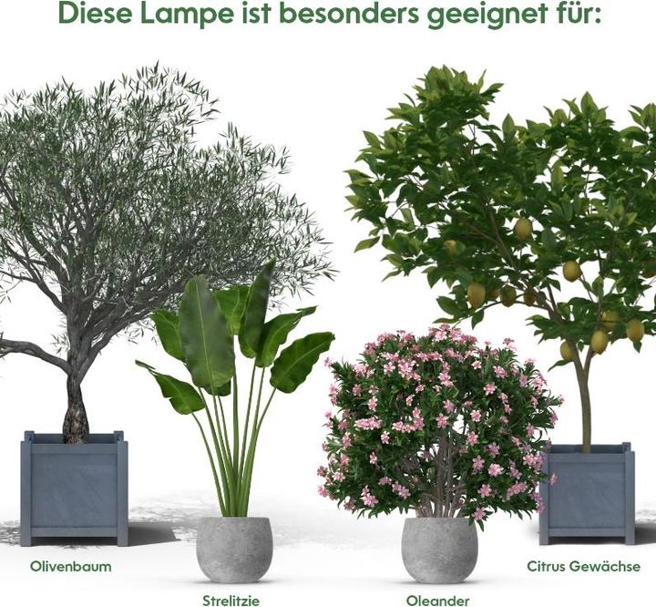 Image du produit Venso Cultiver la lumière en hiver (LED, 245 V)