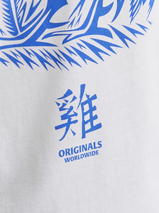 Actual product image Jack & Jones Jorsnake Tee Ss Crew Neck Tg Ln (XXL)