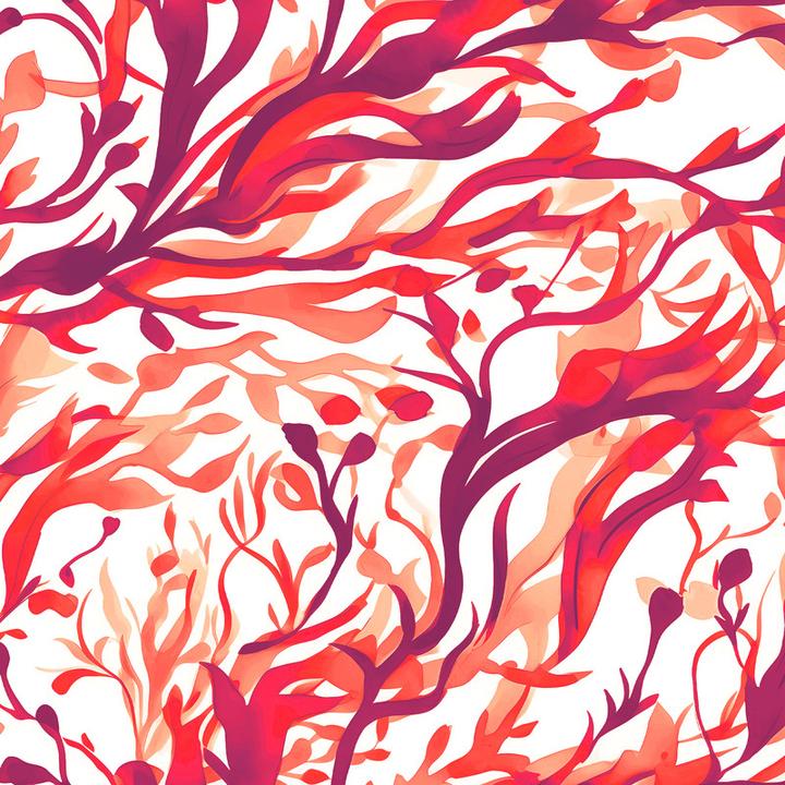 blanc, Rouge, Violet