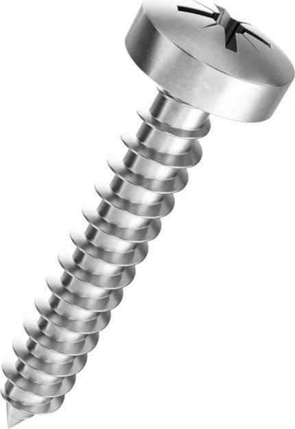 BestaPac Blechschraube Linsenkopf Z rostfrei 5.5x16 (6 Schrauben pro Stück)