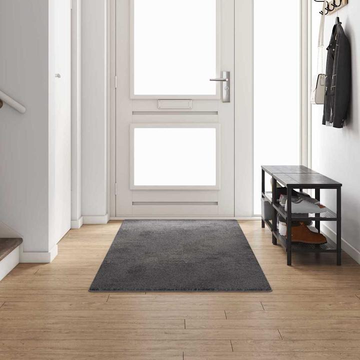 Produktbild vidaXL Läufer (300 x 100 cm)