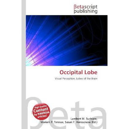 Occipital Lobe, Fachbücher von Susan F. Marseken, Lambert M. Surhone, Miriam T. Timpledon
