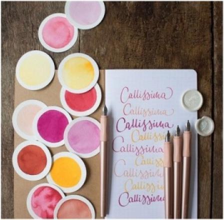 Image du produit Schneider Plume Callissima abricot 1.1mm (Abricot, 1x)