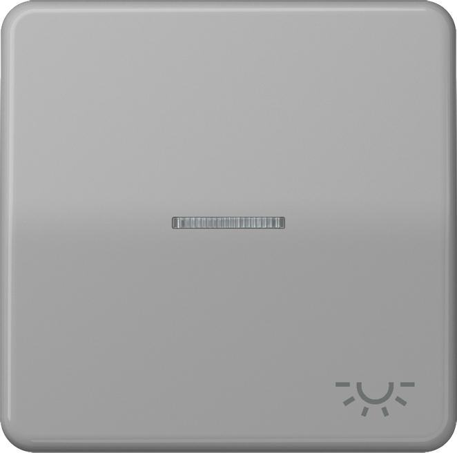 Actual product image JUNG Control rocker switch CD lgr glz light CD590KO5LGR