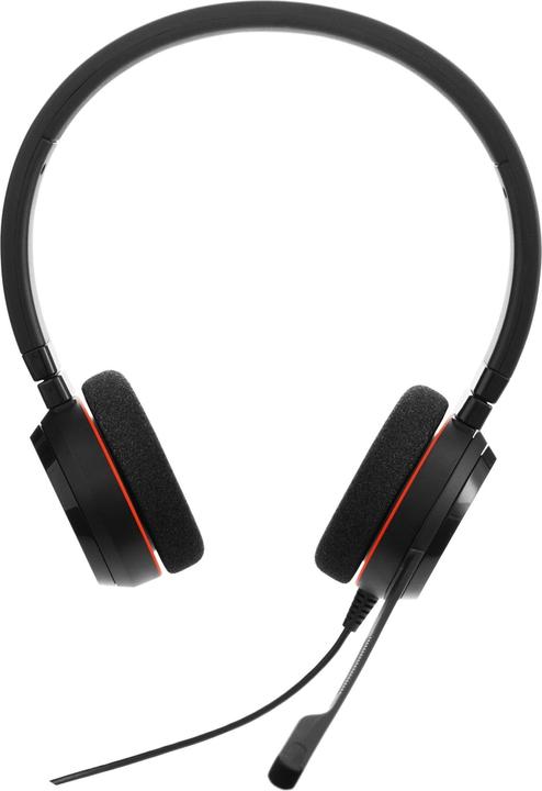 Actual product image Jabra Evolve 20 (Cable, USB-A)
