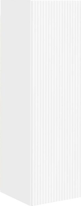 Actual product image vidaXL TV-Schränk (29.50 x 31 x 100 cm)