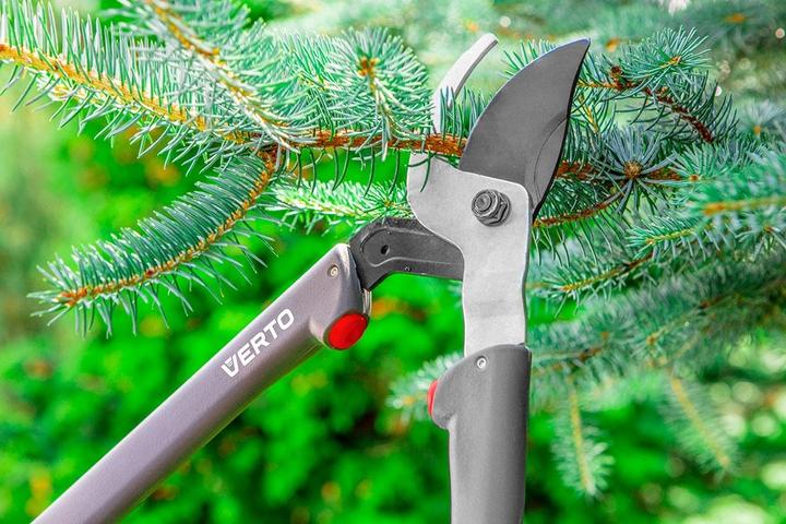 Actual product image Verto 255 Branch shears bypass