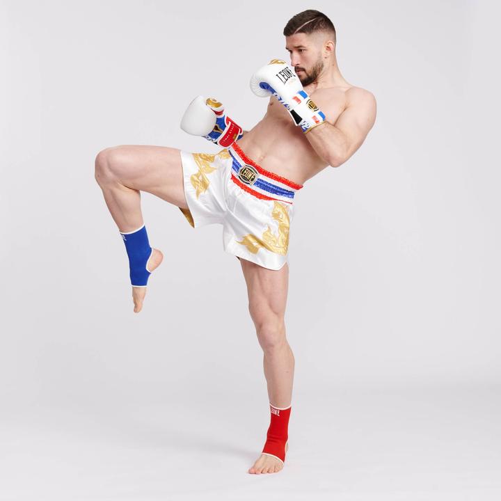 Image du produit Leone Boxhandschuhe THAI STYLE (12 OZ, Taille unique)