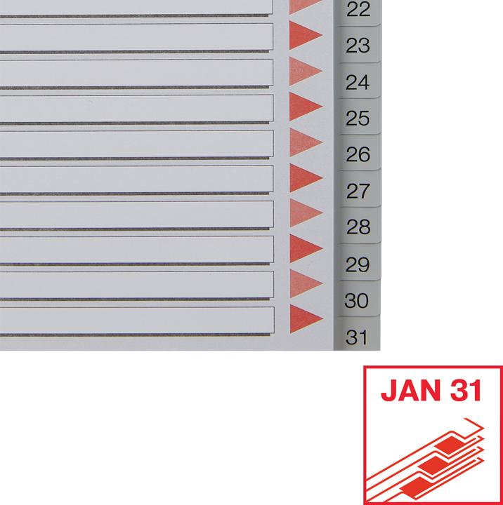 Actual product image Leitz Esselte plastic registers, numbers, A4, 1-31, grey 31-part, PP, 0,12 mm, with writable coverb