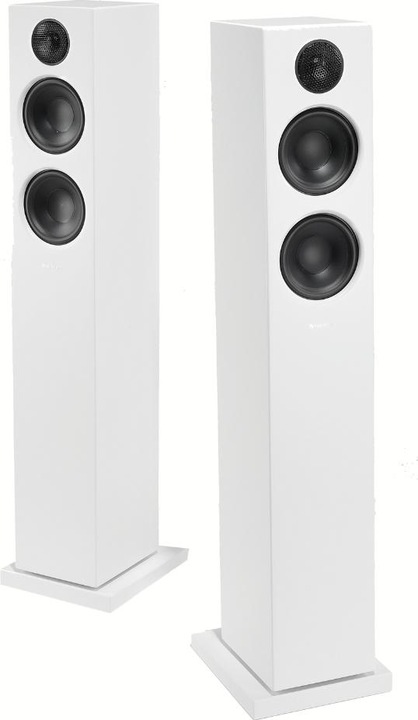 Audio Pro Addon T20 (1 pair, 120 W)