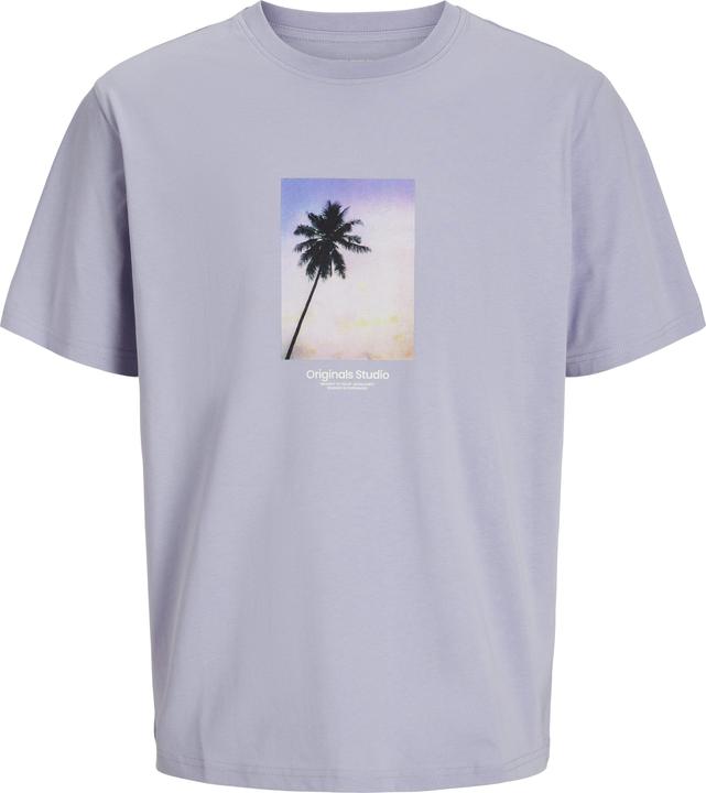 Produktbild Jack & Jones Jorvesterbro Picture Tee Ss Crew Neck Sn (L)